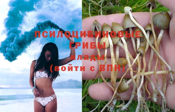 прущие крисы Аркадак