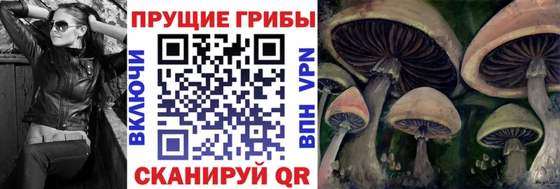 как найти закладки  hydra ссылка  Галлюциногенные грибы GOLDEN TEACHER  Ейск 